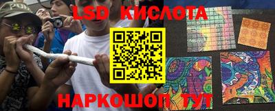 apvp Краснодар