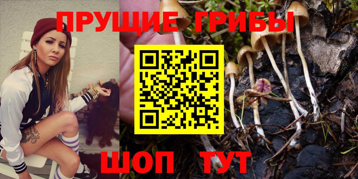 Галлюциногенные грибы мухоморы  Псилоцибиновые грибы Cubensis  Краснокаменск  Вход с VPN 
